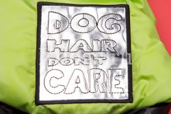  Dog Hair 