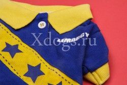 Футболка Star сине-желтая