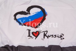 Дождевик Love Russia c закрытым животом для мальчиков серый (на шелке)